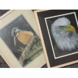 A pastel sketch, Vivienne Wood, Kingfisher, signed and dated 2014, 28 x 19cm, and a pastel sketch,