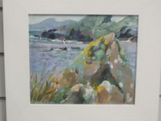 A mixed media painting, Fiona Clucas, Artic Terns Sandness, signed and dated 1991, 20 x 23cm, plus