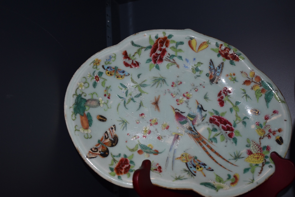 A collection of seven hard paste Chinese plates in Cantonese designs painted with butterfly bird and - Bild 21 aus 21