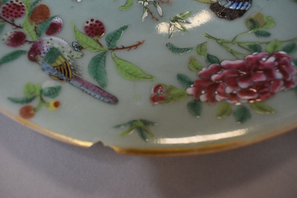 A collection of seven hard paste Chinese plates in Cantonese designs painted with butterfly bird and - Bild 15 aus 21