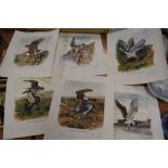 A selection of bird themed prints after Richard J Smith