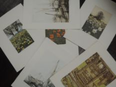 Three Ltd Ed prints, after Graham, inc Daisies, 20 x 40cm, two Ltd Ed prints, after Maplin, inc Iron