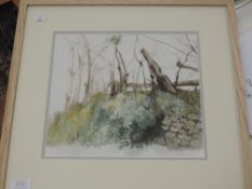 A watercolour, Margaret Taylor, boundary hedge, signed, 25 x 28cm plus frame and glazed
