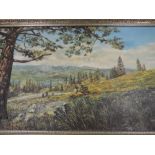 An oil painting, John Wilkinson, country landscape, 60 x 100cm, plus frame