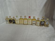 Eleven Whisky Miniatures, all in glass flasks, Macleods Isle of Skye 8 year old blended 40% vol,