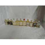 Eleven Whisky Miniatures, all in glass flasks, Macleods Isle of Skye 8 year old blended 40% vol,