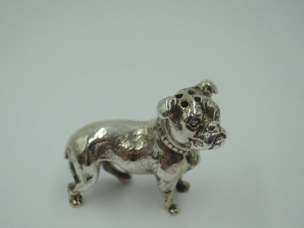 A small Edwardian silver study of a Boxer dog having pepperette/ vinaigrette holes to head, London - Image 2 of 4