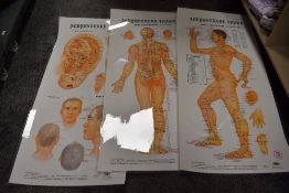 Three medical acupuncture charts or diagrams