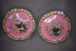 A pair of late Victorian display plates decorated with insects and flowers