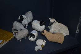 A selection of model sheep figure studies