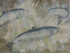 A watercolour, Mary Ellis, Floor of His Chapel, fish, signed and attributed verso, 34 x 48cm, plus