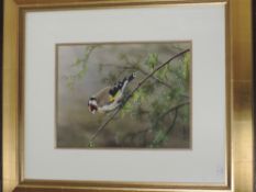 A gouache painting, N Artingstall, bird on branch, 29 x 22cm, plus frame and glazed