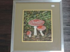 A watercolour, Marion Bradley, Fungi Study Flyagaric Toadstool, signed and attributed verso, 26 x