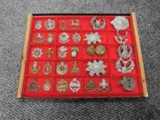A display cases containing Twenty Two metal Military Cap badges including Royal Welsh Fusiliers,