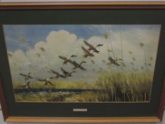 A print, after Peter Scott, Taking To Wing, 37 x 60cm, plus frame and glazed