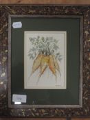 A watercolour, Rosemary J Balcer, study of carrots, 15 x 10cm, plus frame and glazed