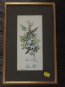 A watercolour, Ann B Gill, snowdrop and Ivy, signed, 25 x 11cm, plus frame and glazed