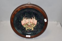 A modern Moorcroft display plate designed by Sally Tuffin in the Cluny design with wooden frame