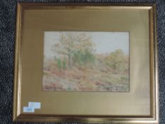 A watercolour, Robert E Rampling, woodland landscape, signed, 19 x 27cm, plus frame and glazed