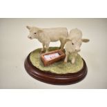 Border fine arts Pair of Charolais calves,B0272.