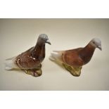 Two Beswick pigeons,2nd version, one matt, one gloss.