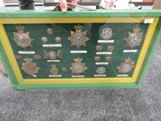 A framed and glazed display case containing Border Regiment Helmet Badges, Cap Badges, Collar Badges