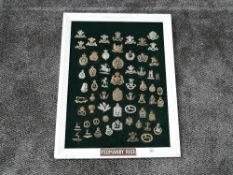 A framed display of Military Cap Badges for Yeomanry Regt's including Fishguard, Imperial Yeomanry