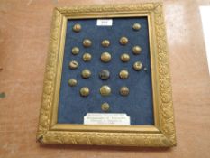 A small framed display of Buttons collected by Bombardier J Milligan France & Germany 1939-1945