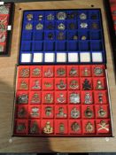 Two display cases containing Forty Nine metal Military Cap badges including Prince of Wales Vols,