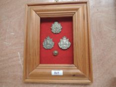 A framed display of 3 Border Regiment Cap Badges and a China Button, Cap Badges Border Regiment, 4th