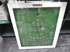 A large framed and glazed display of Military Badges & Plates for Scottish Regiments including The