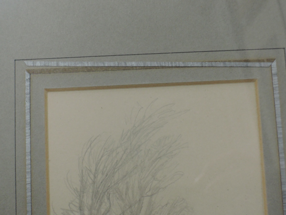 A sketch, Lucy Kemp Welch, Leading the Team, blind stamped, 13 x 9cm, plus frame and glazed - Image 5 of 5