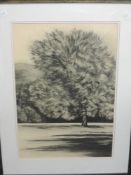 A pair of charcoal sketches, Jan McKenzie, Summer Shadows I and II, signed and attributed verso,