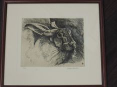 A Ltd Ed etching, after Andrew Hassen, study of a hare, signed and num 17/40, 22 x 27cm, plus