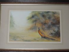 Two mixed media paintings, Stephen Francis Allen, pheasant in woods, signed and dated (19)87, 22 x