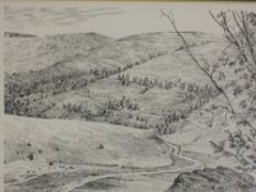 A pen and ink sketch, Alfred Wainwright, Borrowdale, signed, 17 x 21cm, plus frame and glazed