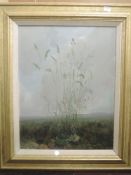 An oil painting on board, Audrey Johnson, ornamental grass landscape, signed and dated 1976, 45 x