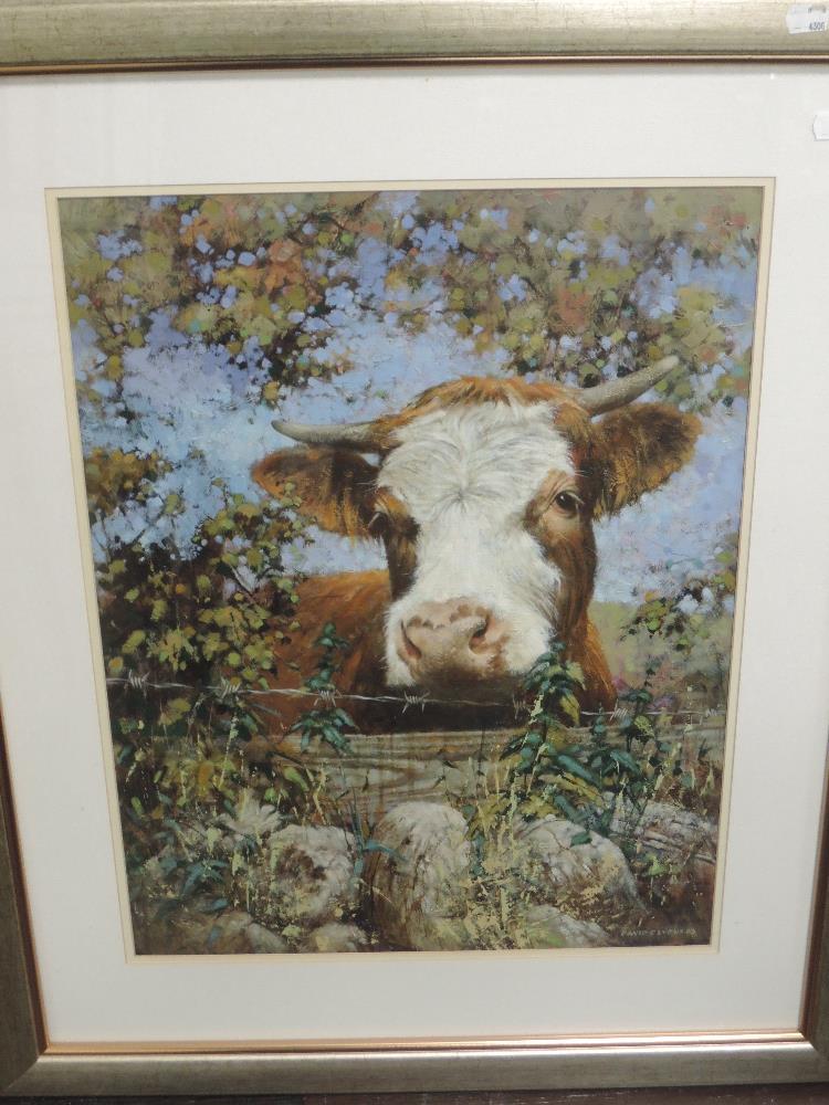 An oil painting, David C Lyons, Parsley cow, signed and dated 2003 and attributed verso, 60 x