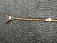 A birch shafted walking cane or stick having animal horn handle