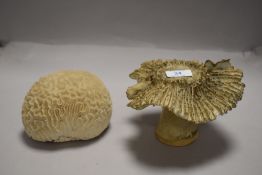 A studio pottery mushroom marked CMP to base and a natural history brain coral sample