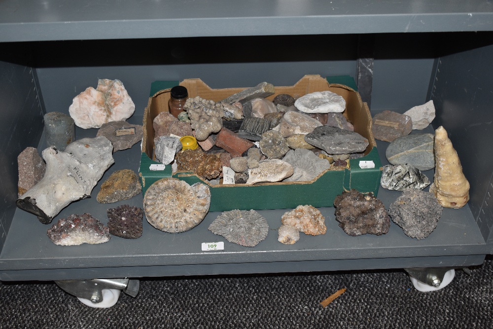 A selection of geological rock mineral and fossil specimins