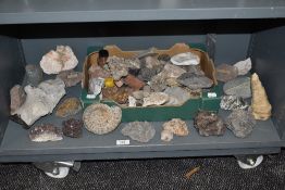 A selection of geological rock mineral and fossil specimins