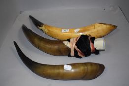 Three large size bovine cow horns