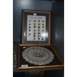 A framed shop style display of Real Horn Domes with a lace work doily