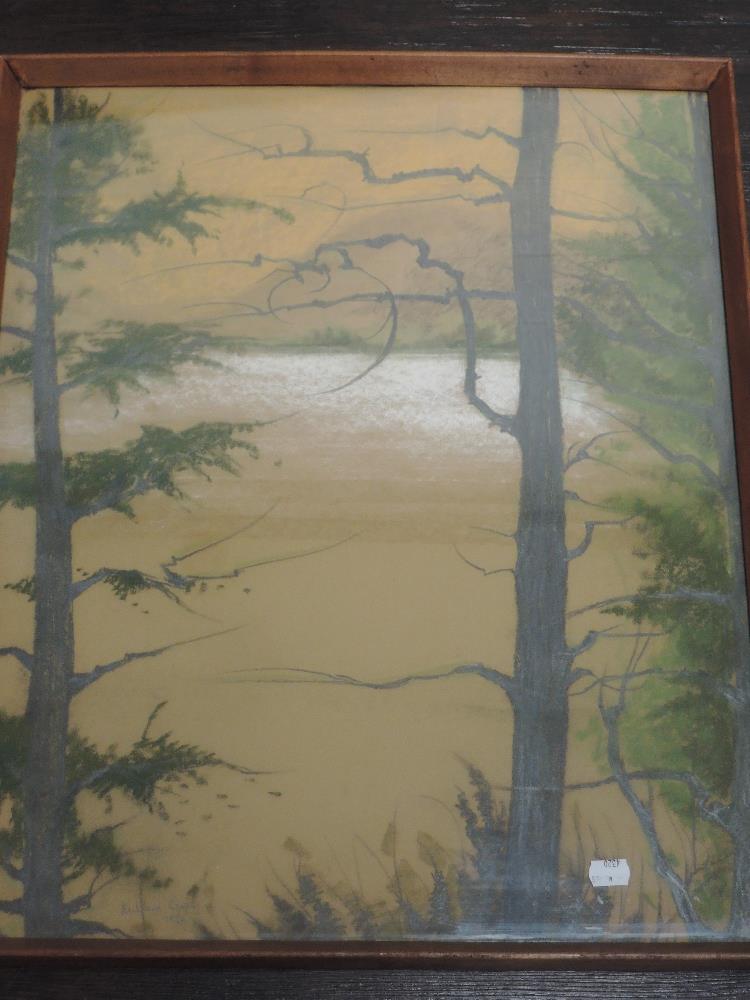 Mildred Cooper, (20th century), a pastel sketch, trees and lake, signed and dated 1970, 62 x 51cm,