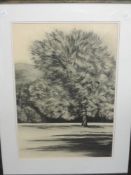 Jan McKenzie, (20th century), a pair of charcoal sketches, Summer Shadows I and II, signed and