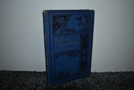 Travel. 'L.S.D.' - Trip to the Sunny South in March, 1885, &c. Birkenhead: E. Griffith and Son.