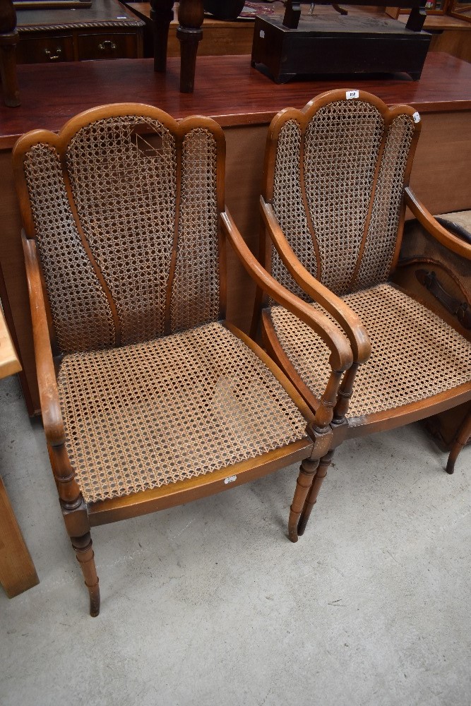 A pair of early to mid 20th Century salon armchairs having bergere canework seats and backs