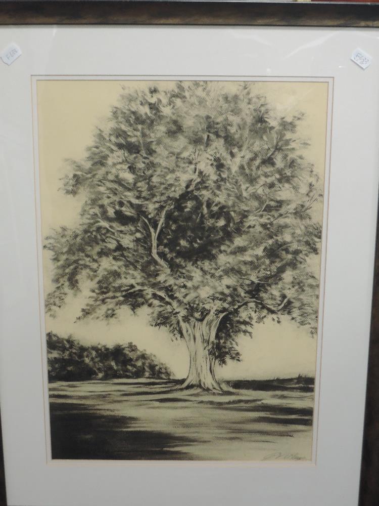 Jan McKenzie, (20th century), a pair of charcoal sketches, Summer Shadows I and II, signed and att - Image 2 of 3