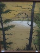 Mildred Cooper (19th/20th century) pastel on paper, naturalistic woodland landscape, signed and